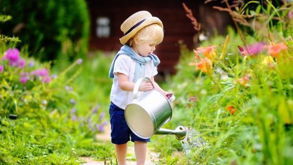 Une image de l‘activité Les petits pros du jardinage organisée par Apprends et Rêve, activités pour enfants et ados à Paris