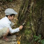 Une image de l‘activité Les Mini-Explorateurs : art, nature et gourmandises organisée par Apprends et Rêve, activités pour enfants et ados à Paris