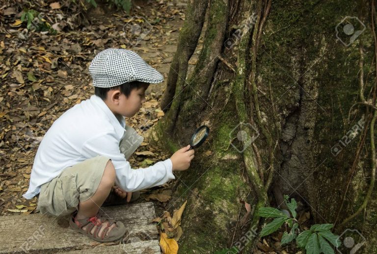 Activité 'Les Mini-Explorateurs : art, nature et gourmandises' par Apprends et Rêve, activités pour enfants et ados à Paris
