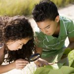 Une image de l‘activité Les P’tits Aventuriers découvrent la nature organisée par Apprends et Rêve, activités pour enfants et ados à Paris