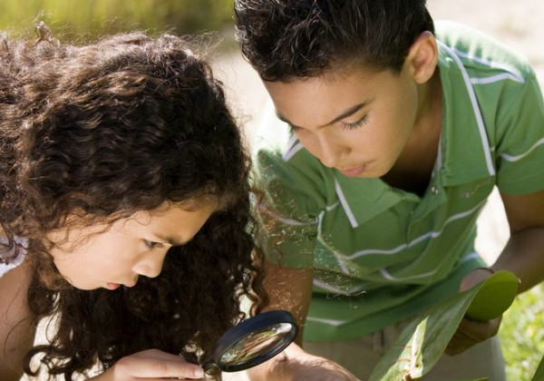 Photo de l'activité Les Mini-Explorateurs : art, nature et gourmandises, organisée par Apprends & Rêve