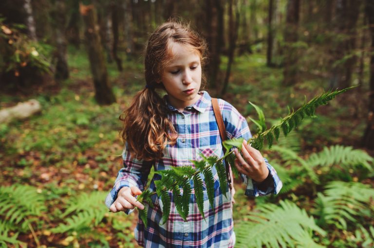 Activité 'Les P’tits Aventuriers découvrent la nature (en automne)' par Apprends et Rêve, activités pour enfants et ados à Paris