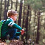 Une image de l‘activité Les P’tits Aventuriers découvrent la nature (en automne) organisée par Apprends et Rêve, activités pour enfants et ados à Paris