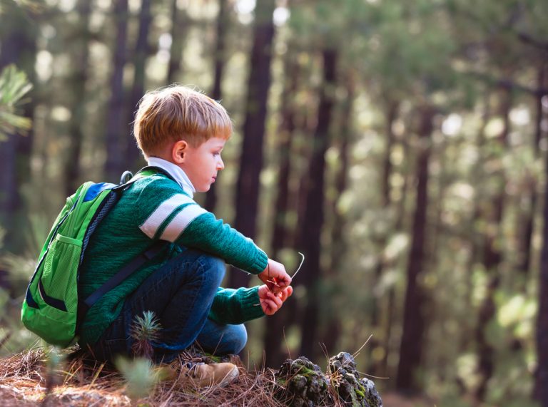 Activité 'Les P’tits Aventuriers découvrent la nature (en automne)' par Apprends et Rêve, activités pour enfants et ados à Paris