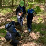 Une image de l‘activité 🌿 Botanique pour les 9-12 ans organisée par Apprends et Rêve, activités pour enfants et ados à Paris