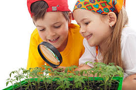 Activité 'Jardinage pour les 4-7 ans: à la (re) découverte de la nature au printemps' par Apprends et Rêve, activités pour enfants et ados à Paris