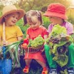 Une image de l‘activité À l’écoute de la nature en été organisée par Apprends et Rêve, activités pour enfants et ados à Paris