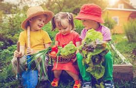 Une image de l‘activité À l’écoute de la nature en été organisée par Apprends et Rêve, activités pour enfants et ados à Paris