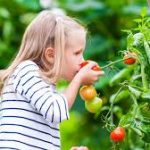 Une image de l‘activité À l’écoute de la nature en été organisée par Apprends et Rêve, activités pour enfants et ados à Paris