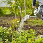 Une image de l‘activité À l’écoute de la nature en été organisée par Apprends et Rêve, activités pour enfants et ados à Paris