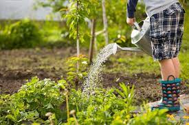 Activité 'À l’écoute de la nature en été' par Apprends et Rêve, activités pour enfants et ados à Paris