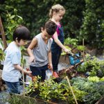 Une image de l‘activité À l’écoute de la nature en été organisée par Apprends et Rêve, activités pour enfants et ados à Paris