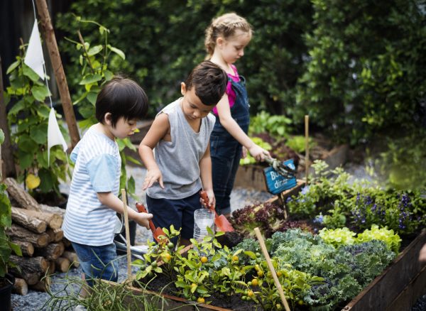 Une image de l‘activité À l’écoute de la nature en été organisée par Apprends et Rêve, activités pour enfants et ados à Paris