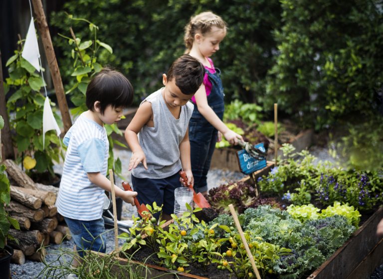 Activité 'À l’écoute de la nature en été' par Apprends et Rêve, activités pour enfants et ados à Paris