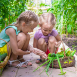 Une image de l‘activité À l’écoute de la nature en été organisée par Apprends et Rêve, activités pour enfants et ados à Paris