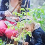Une image de l‘activité Les petits pros du jardinage au printemps organisée par Apprends et Rêve, activités pour enfants et ados à Paris