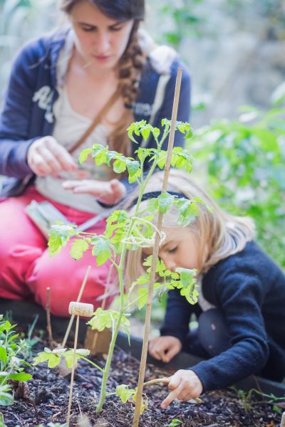 Une image de l‘activité Les petits pros du jardinage organisée par Apprends et Rêve, activités pour enfants et ados à Paris