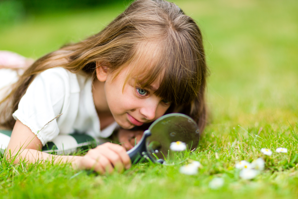 L'activité DIY / Découverte / Savoir-faire par Apprends et Rêve, activités pour enfants et ados à Paris