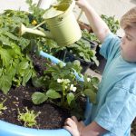 Une image de l‘activité Les petits pros du jardinage organisée par Apprends et Rêve, activités pour enfants et ados à Paris