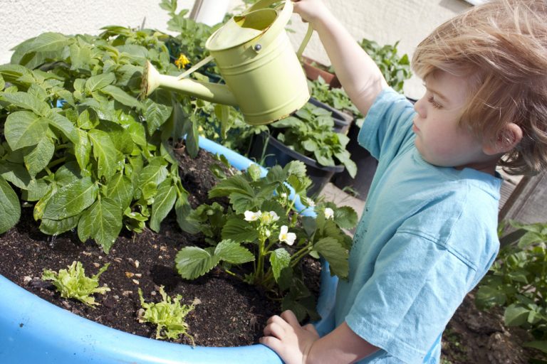 Activité 'Les petits pros du jardinage' par Apprends et Rêve, activités pour enfants et ados à Paris