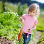 Une image de l‘activité Les petits pros du jardinage organisée par Apprends et Rêve, activités pour enfants et ados à Paris