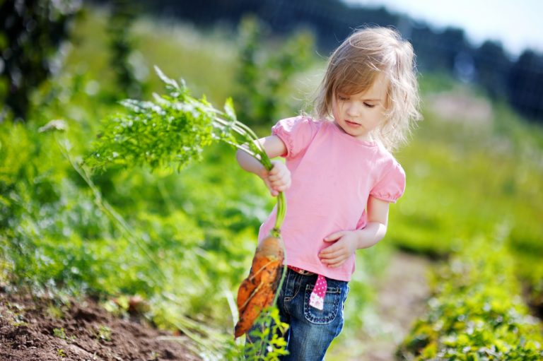 Activité 'Les petits pros du jardinage' par Apprends et Rêve, activités pour enfants et ados à Paris