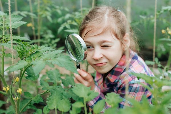 Une image de l‘activité Les P’tits Aventuriers découvrent la nature organisée par Apprends et Rêve, activités pour enfants et ados à Paris