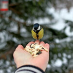 Une image de l‘activité Les Mini-Explorateurs : art, nature et gourmandises organisée par Apprends et Rêve, activités pour enfants et ados à Paris
