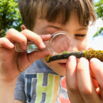 Une image de l‘activité Les Mini-Explorateurs : art, nature et gourmandises organisée par Apprends et Rêve, activités pour enfants et ados à Paris