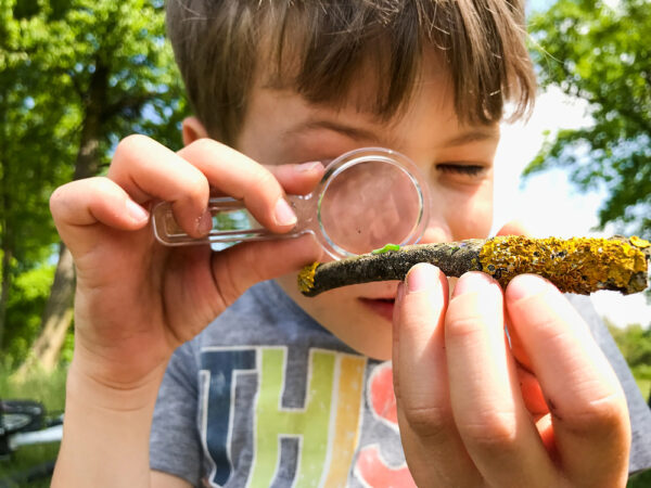 Une image de l‘activité Les Mini-Explorateurs : art, nature et gourmandises organisée par Apprends et Rêve, activités pour enfants et ados à Paris