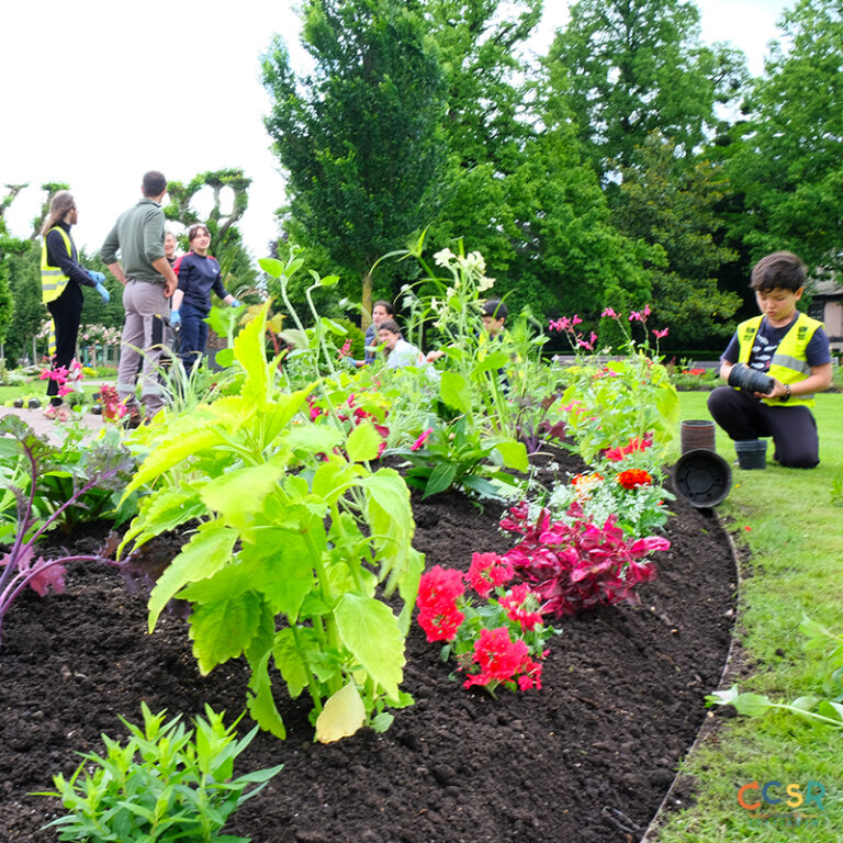Activité '🌿 Botanique & Nature pour les 5-7 ans' par Apprends et Rêve, activités pour enfants et ados à Paris